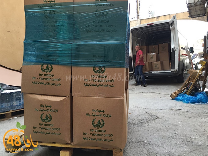 torold yaffa (15).jpg